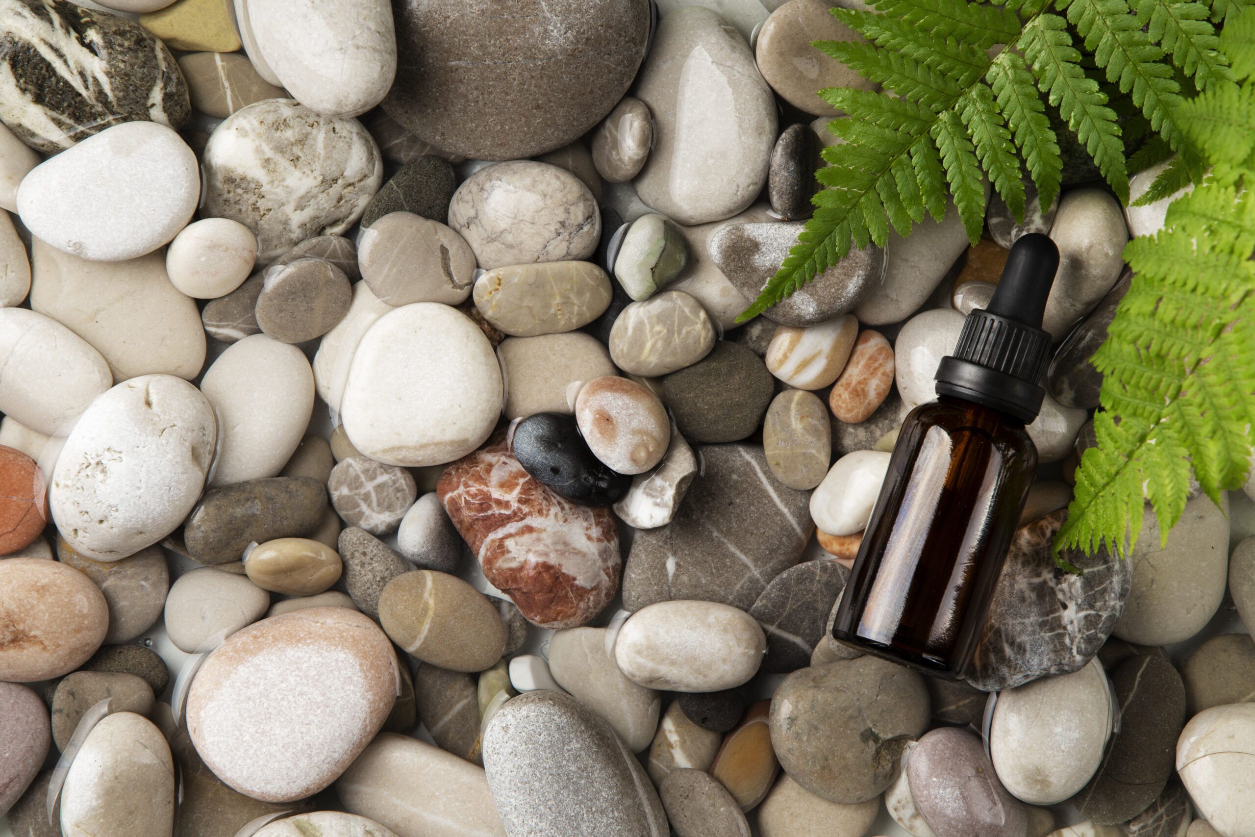 Séminaire mai 2026 – prix adhérent